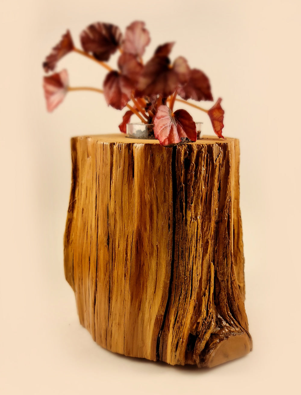 Rustic and Elegant Cedar Wood Planter Enhancing Home Decor, Side Red