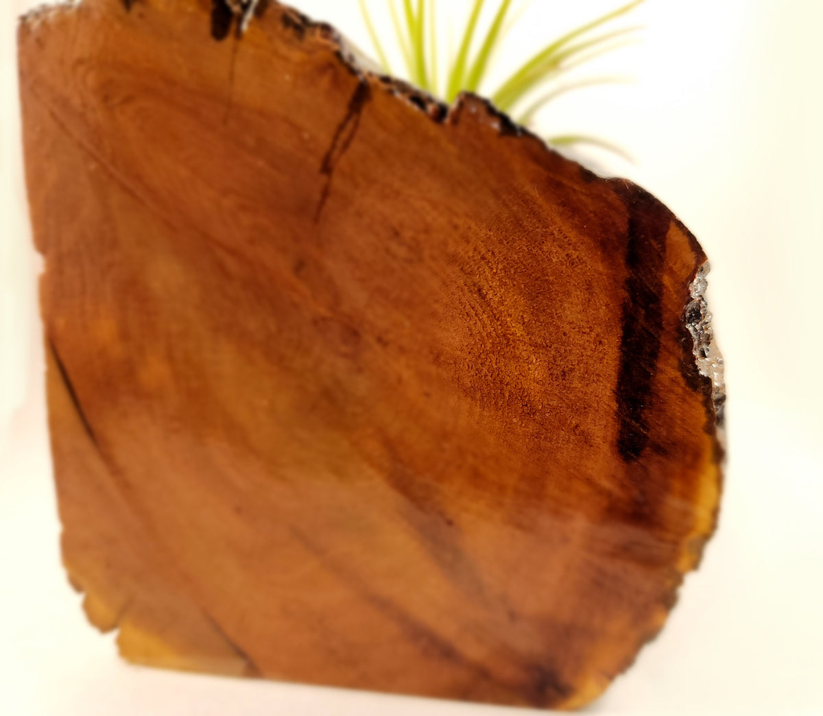 Handmade Dual Color Cedar Living Wood Planter