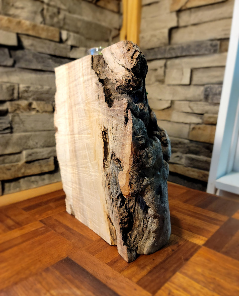 Long Island Sound Birch Driftwood Planter