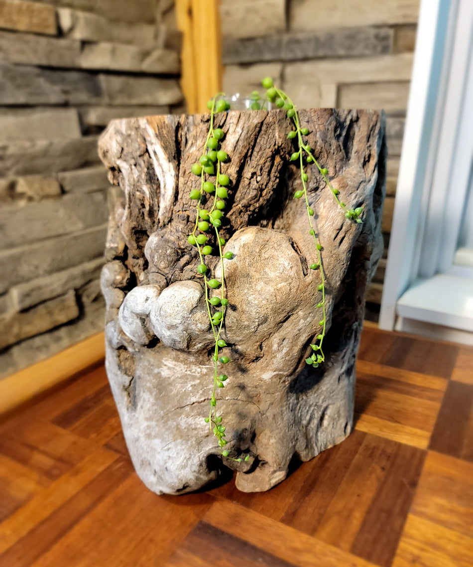 Long Island Sound Birch Driftwood Planter