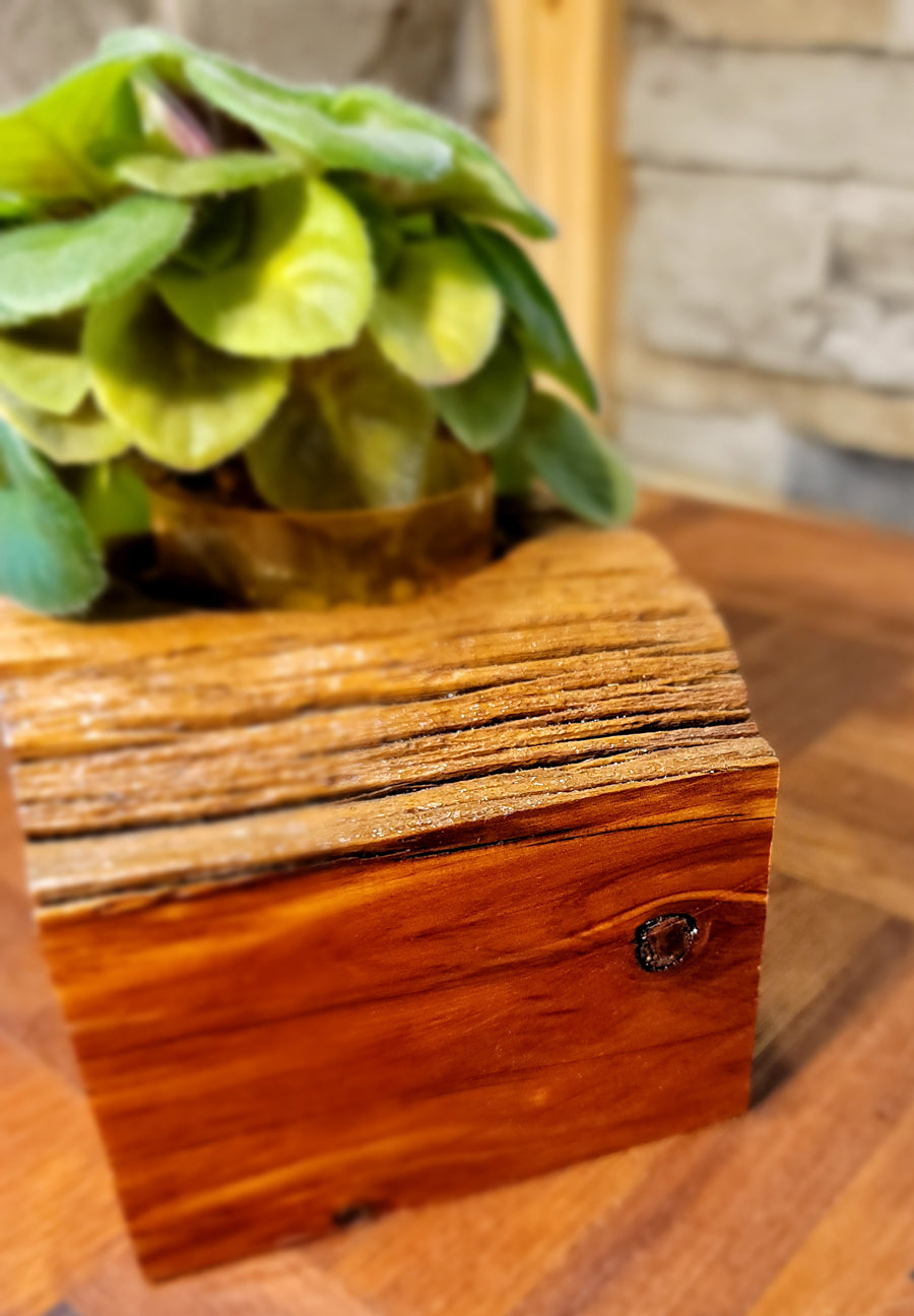 Handmade Cedar African Violet Planter
