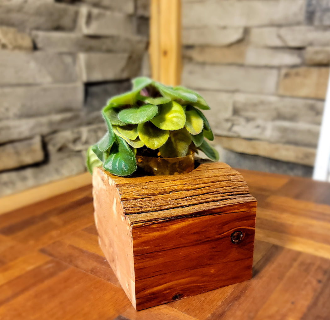 Handmade Cedar African Violet Planter