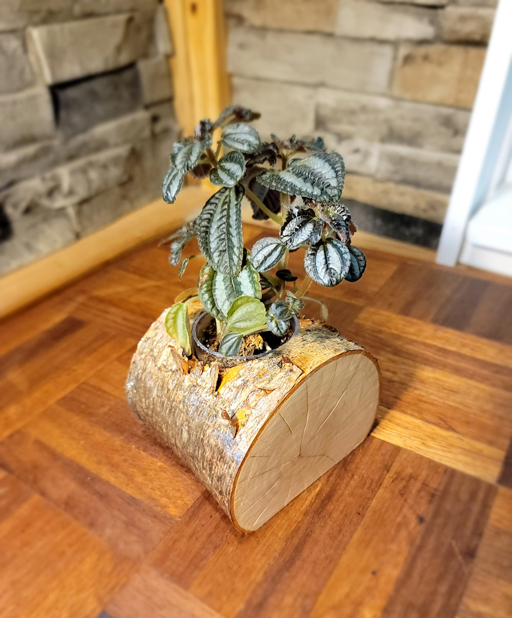 Artisan-Crafted Handmade Cedar Planter