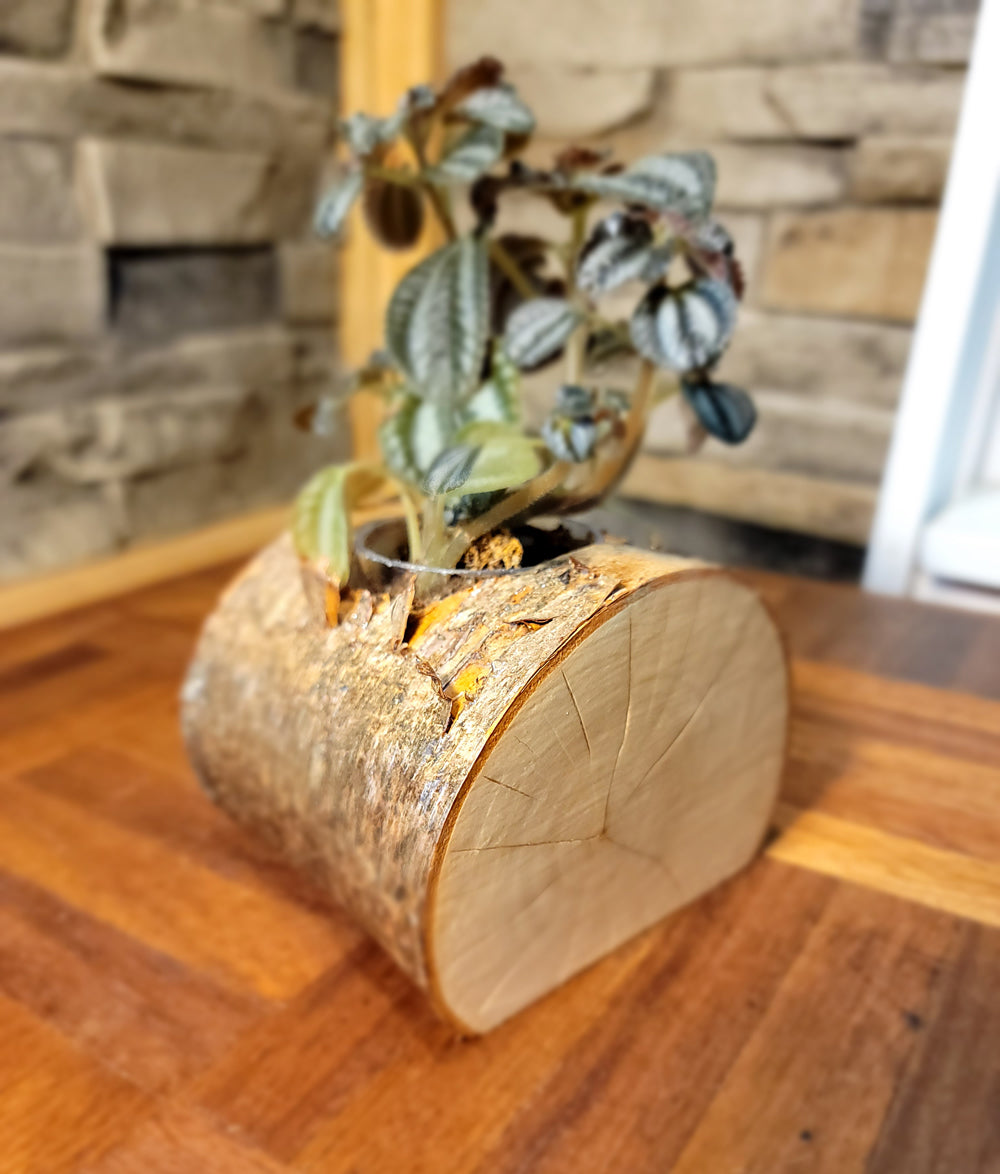 Artisan-Crafted Handmade Cedar Planter