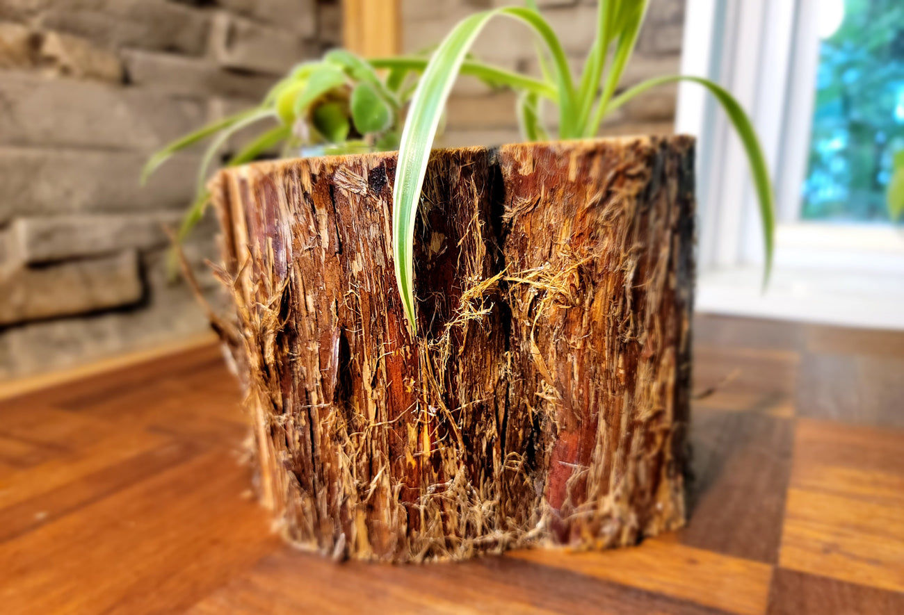 Triple Feathered Planter Side