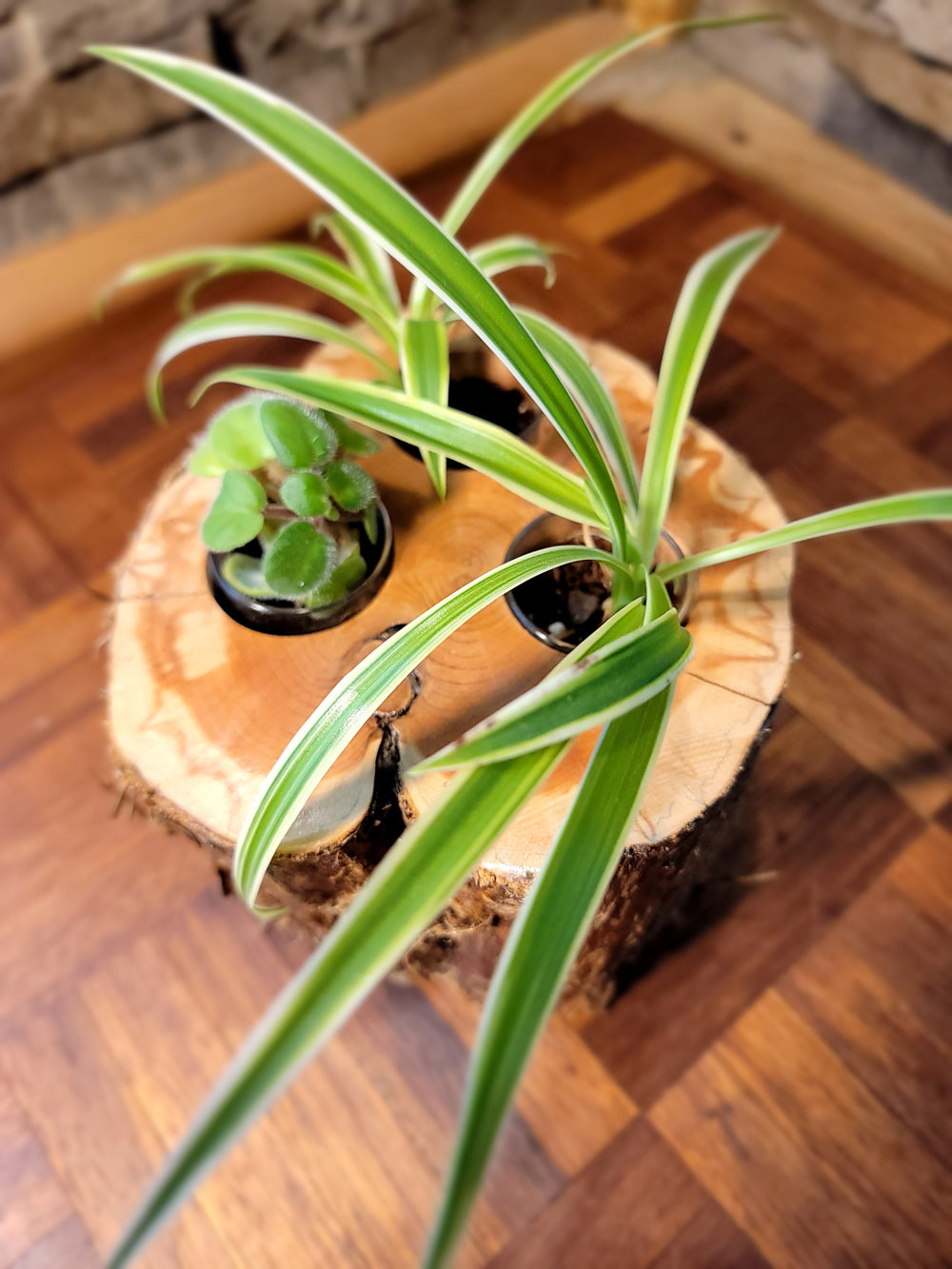 Triple Feathered Planter Top Corner