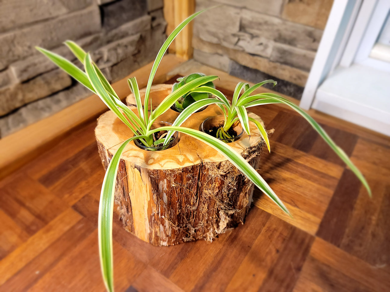 Triple Feathered Planter Main