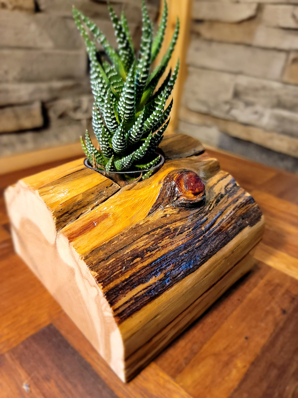 Handmade Glossy Cedar Knot Planter