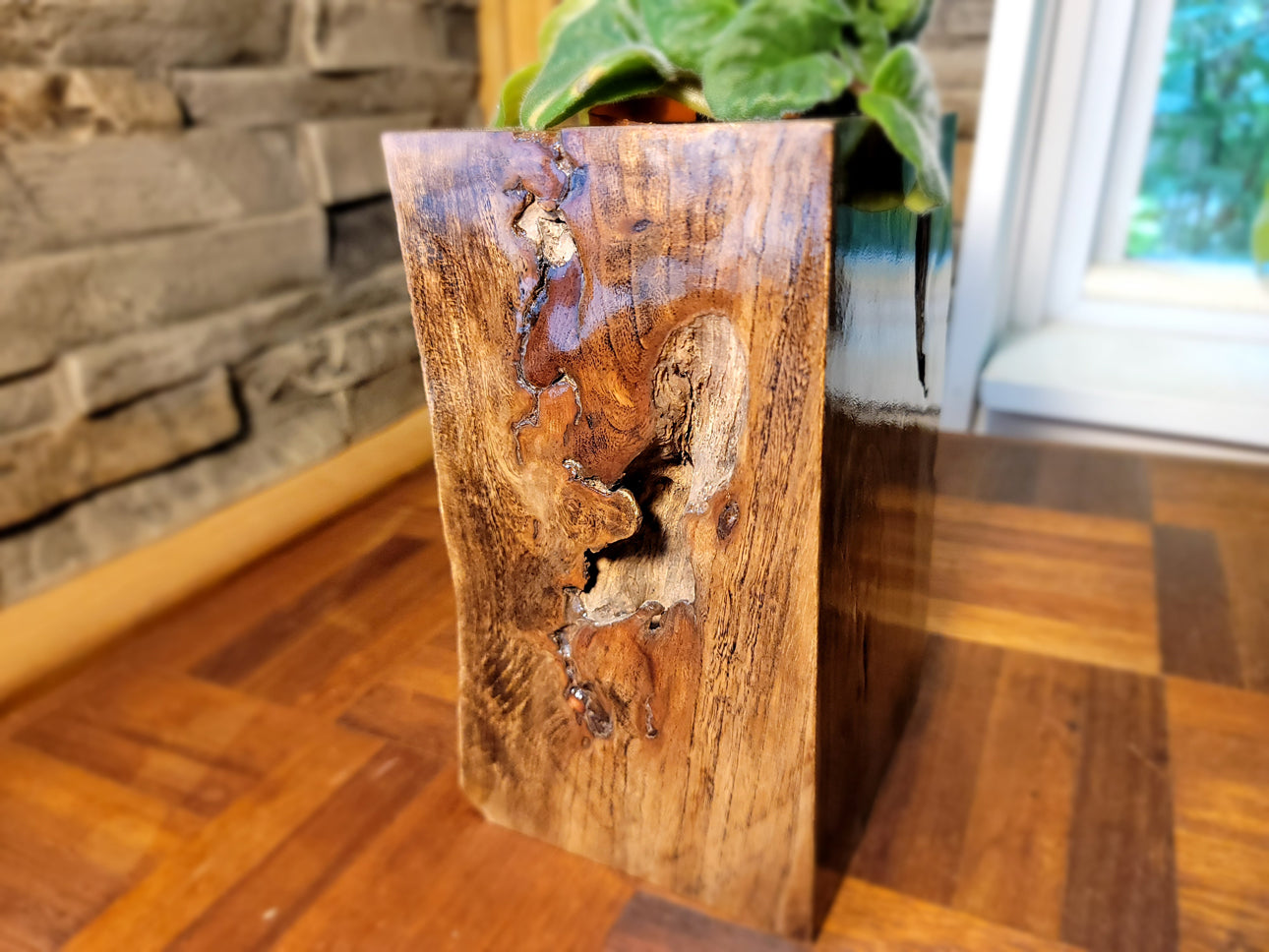 Long Island Sound Driftwood Birch Planter