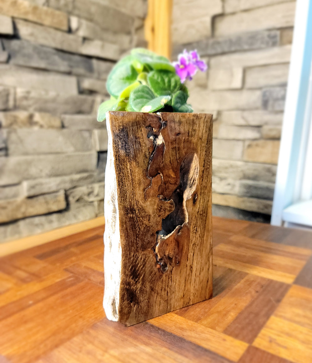 Long Island Sound Driftwood Birch Planter