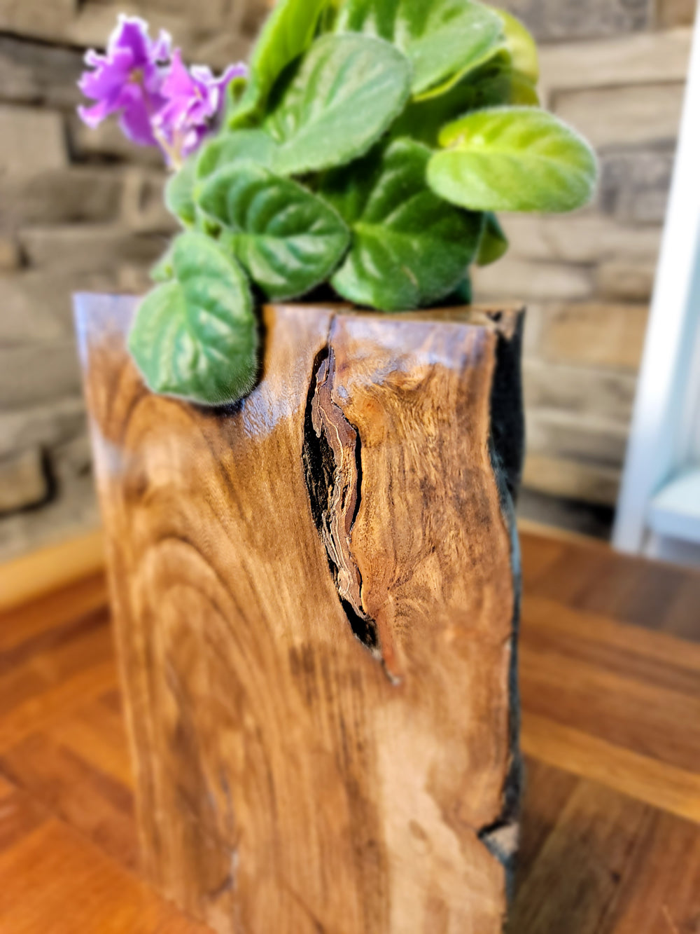 Long Island Sound Driftwood Birch Planter