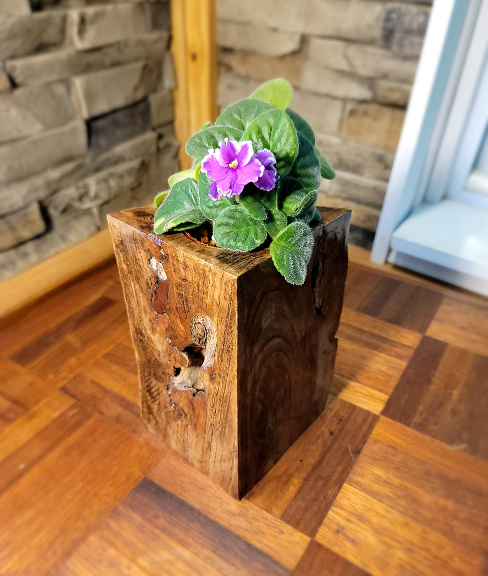 Long Island Sound Driftwood Birch Planter