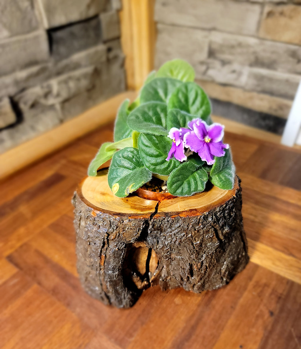 Handmade Craftsman Cedar Planter