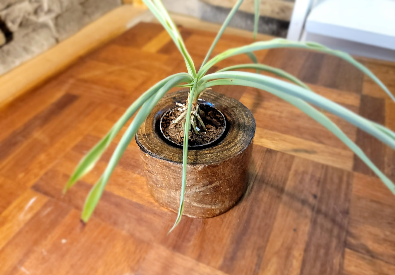 Artisan Chestnut Planter - Glossy Finish