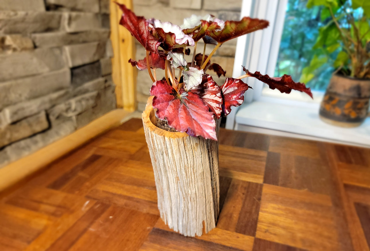 Pale Cedar Wood Planter