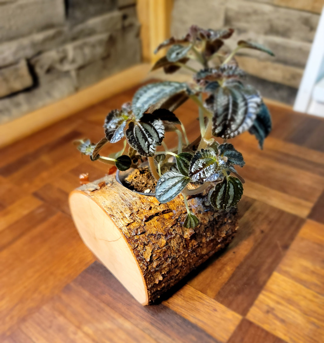 Artisan-Crafted Handmade Cedar Planter