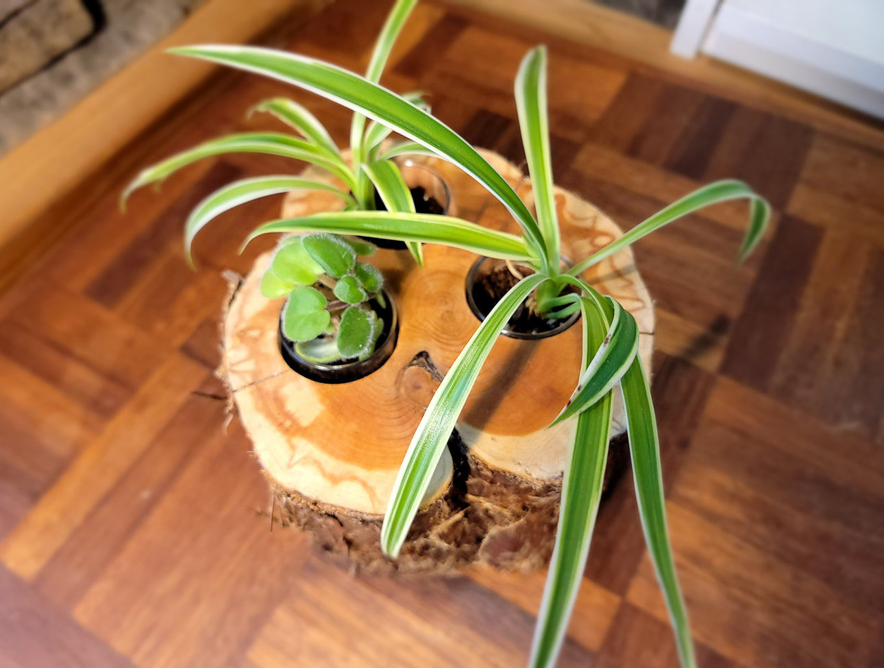 Triple Feathered Planter Top