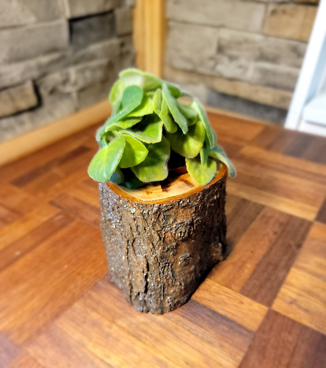 Handmade Craftsman Cedar Planter