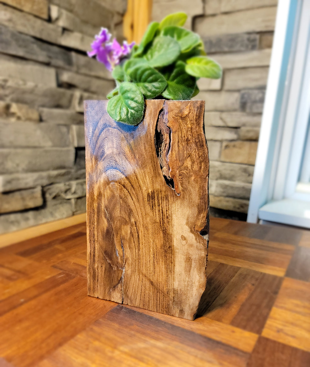 Long Island Sound Driftwood Birch Planter