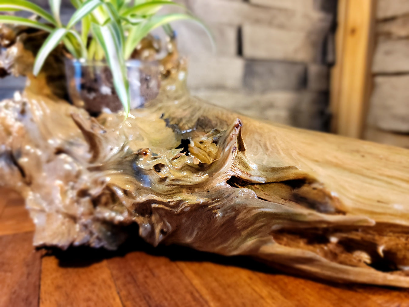 Handmade Driftwood Style Living Planter - Glossy Finish