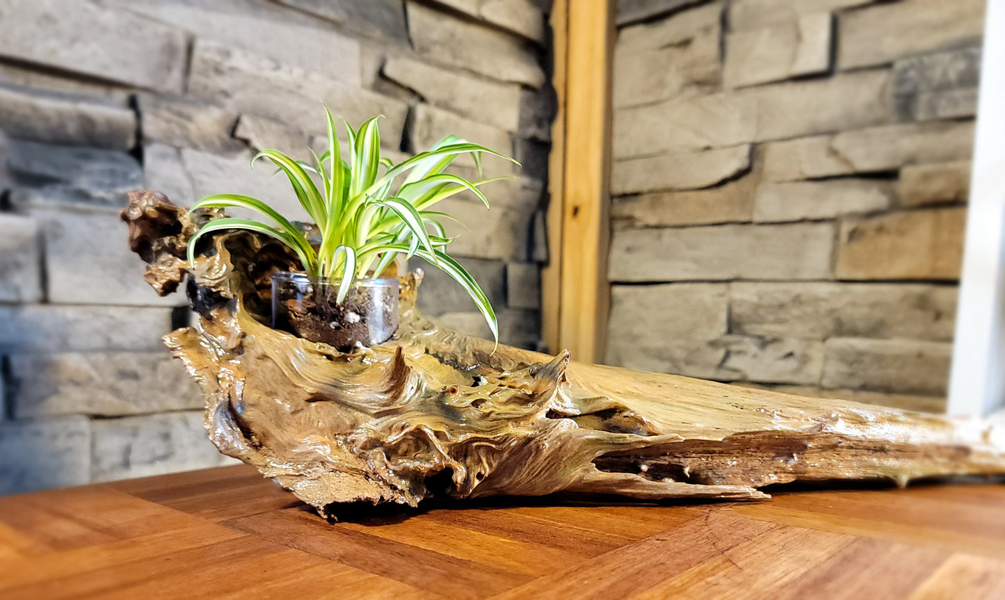 Handmade Driftwood Style Living Planter - Glossy Finish