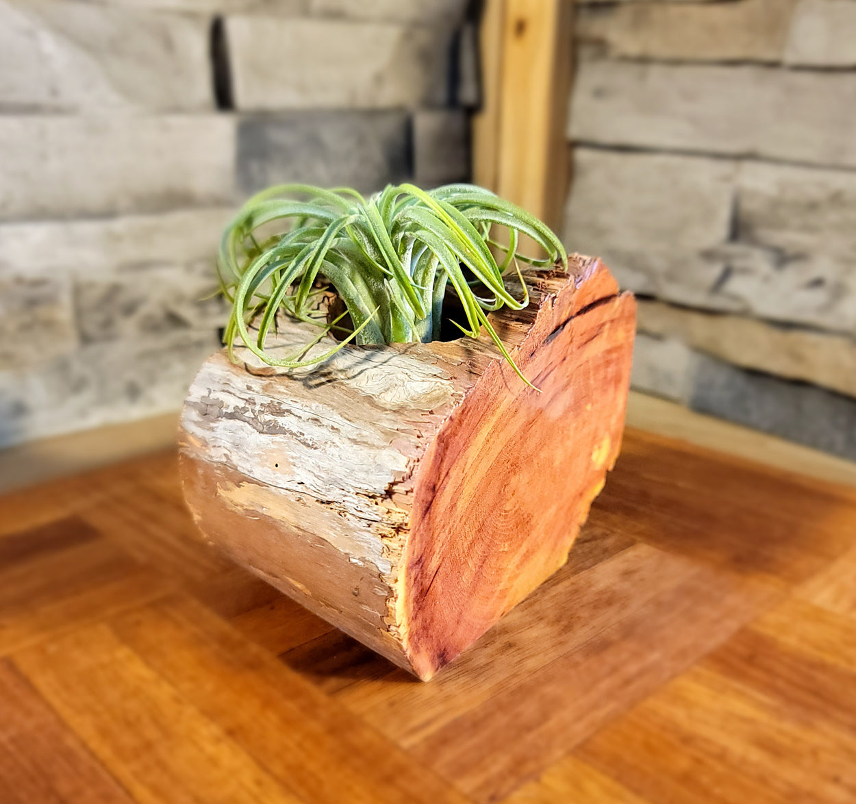 Organic Cedar Planter with Thriving Greenery, Corner
