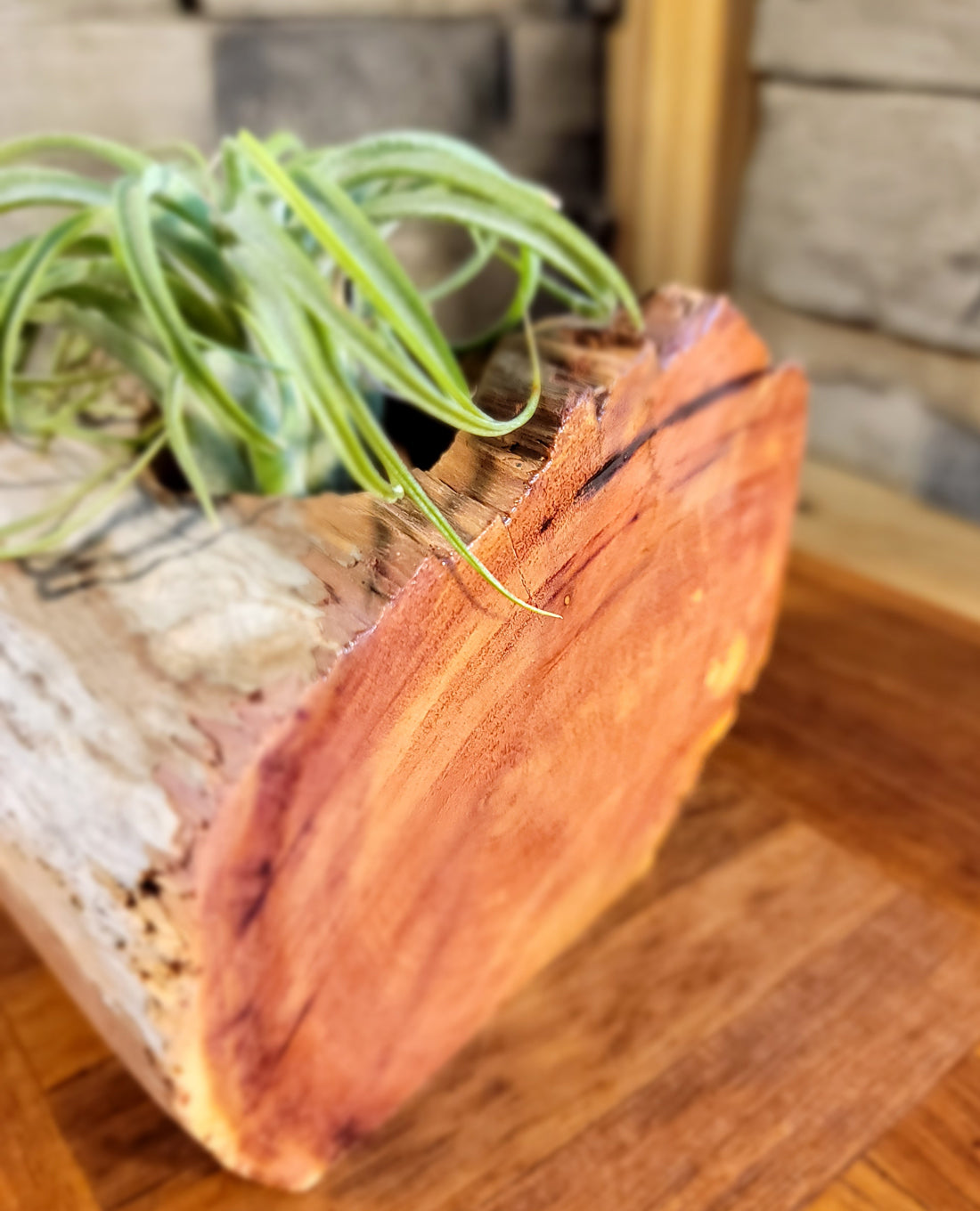 Organic Cedar Planter with Thriving Greenery, Corner Zoom