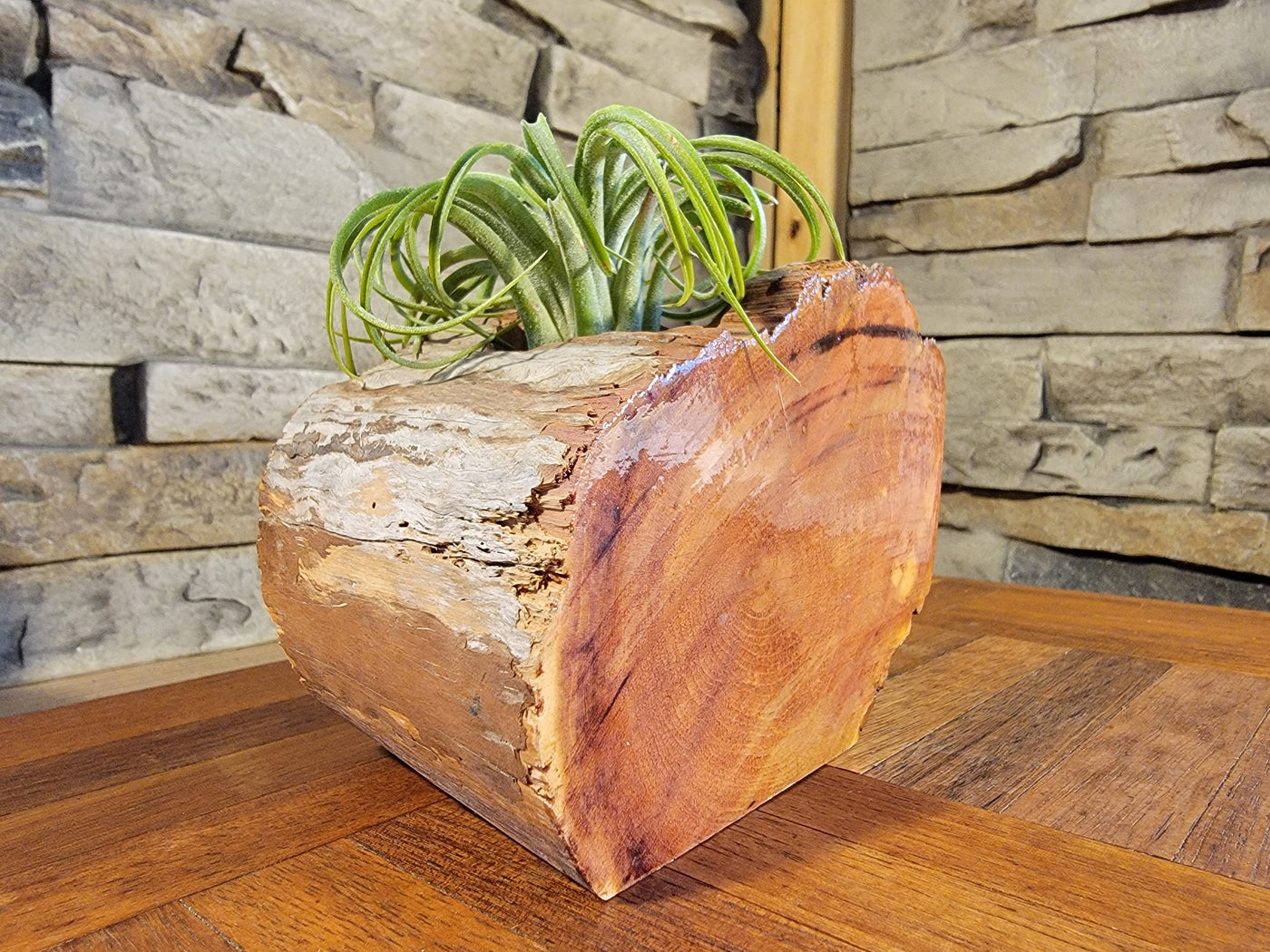 Organic Cedar Planter with Thriving Greenery, Corner Side