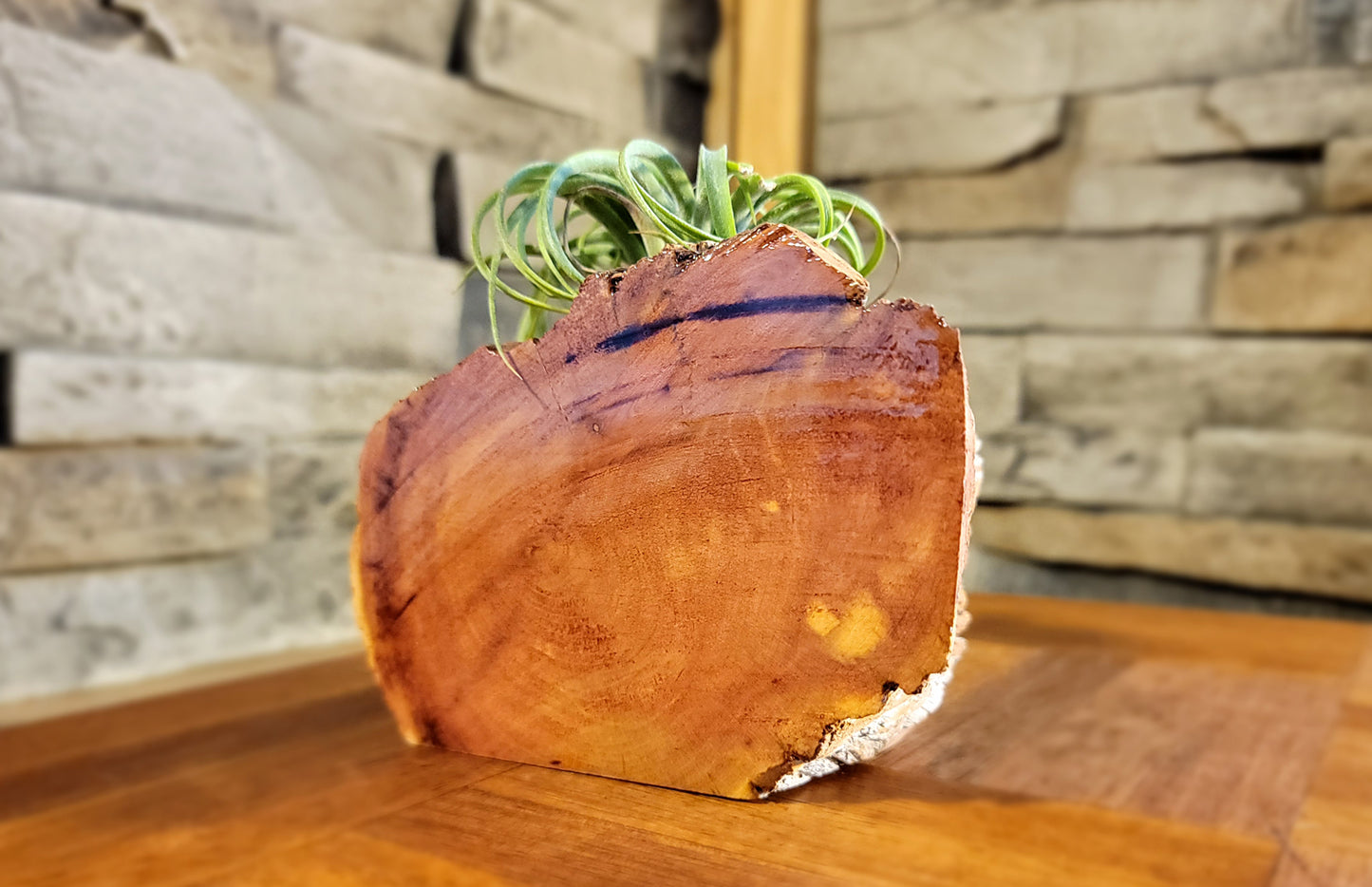 Organic Cedar Planter with Thriving Greenery, Second Side