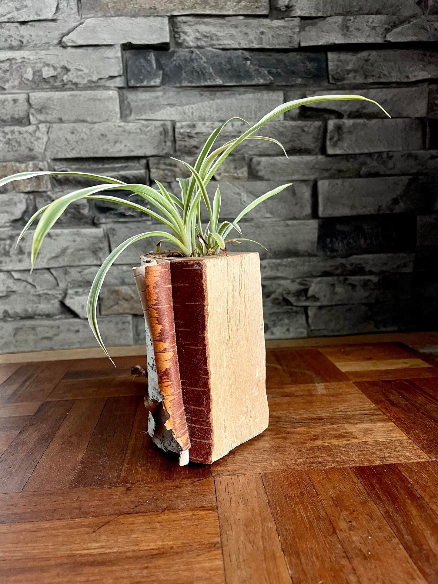 White Birch Living Planter - Natural Finish