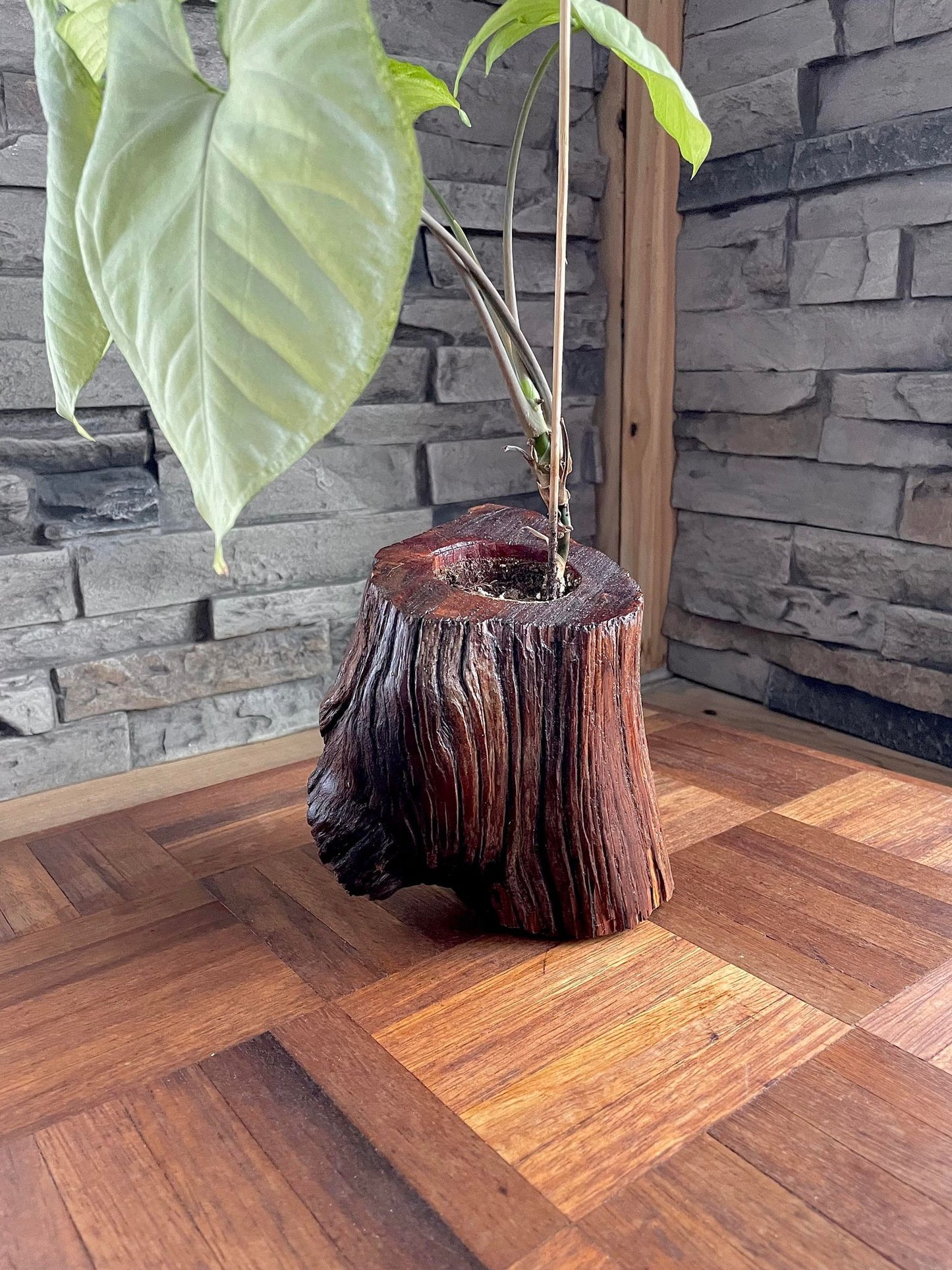 Red Cedar Tall Living Wood Planter - Glossy Finish