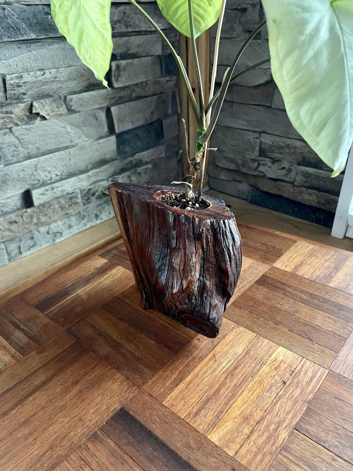 Red Cedar Tall Living Wood Planter - Glossy Finish