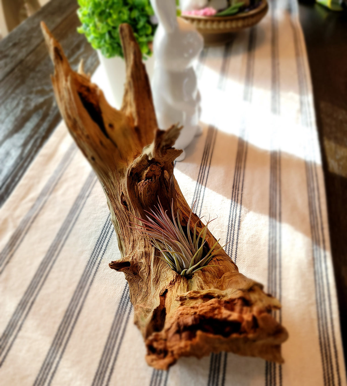 Handmade Tall Driftwood Style Living Planter