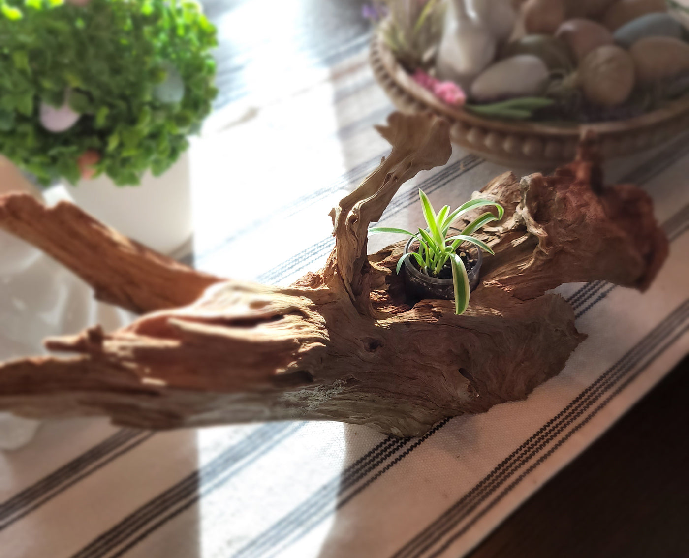 Handmade Tall Driftwood Style Living Planter