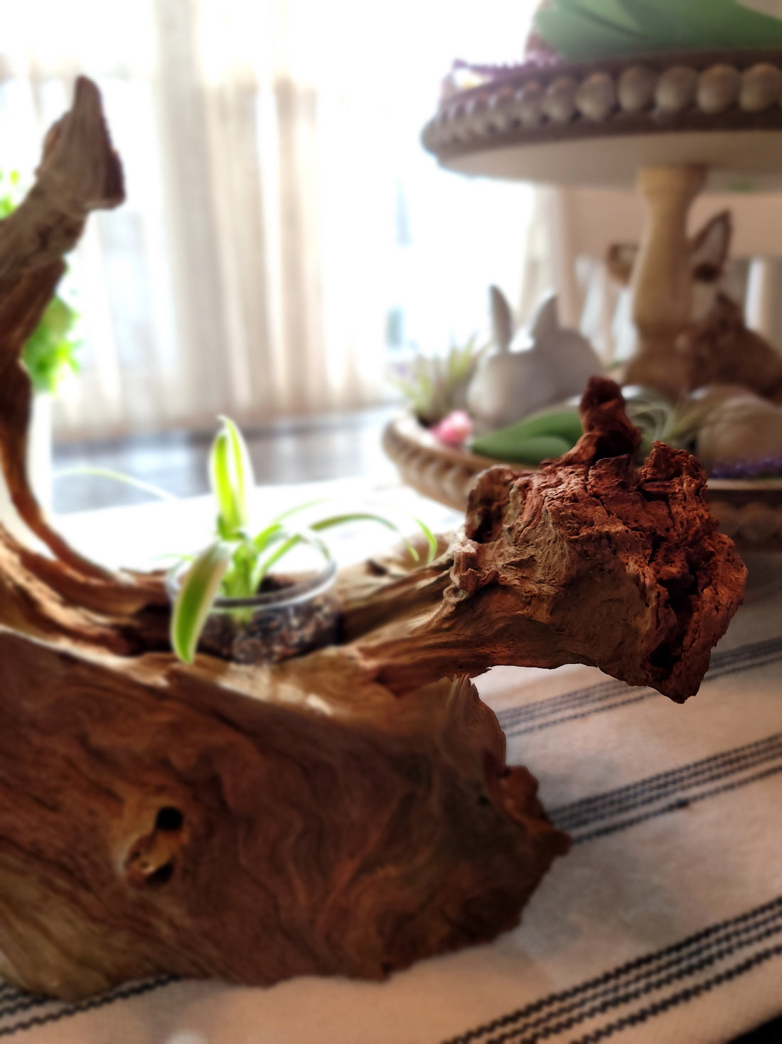 Handmade Tall Driftwood Style Living Planter