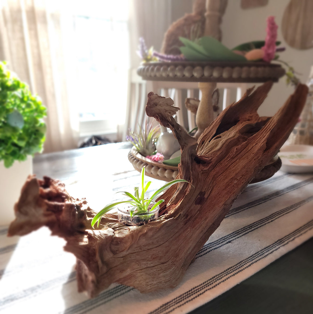 Handmade Tall Driftwood Style Living Planter