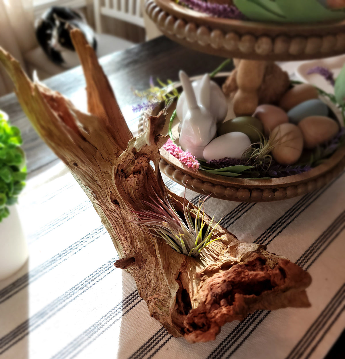 Handmade Tall Driftwood Style Living Planter