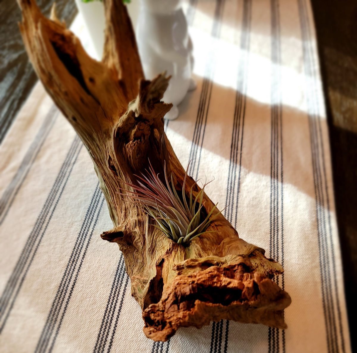 Handmade Tall Driftwood Style Living Planter