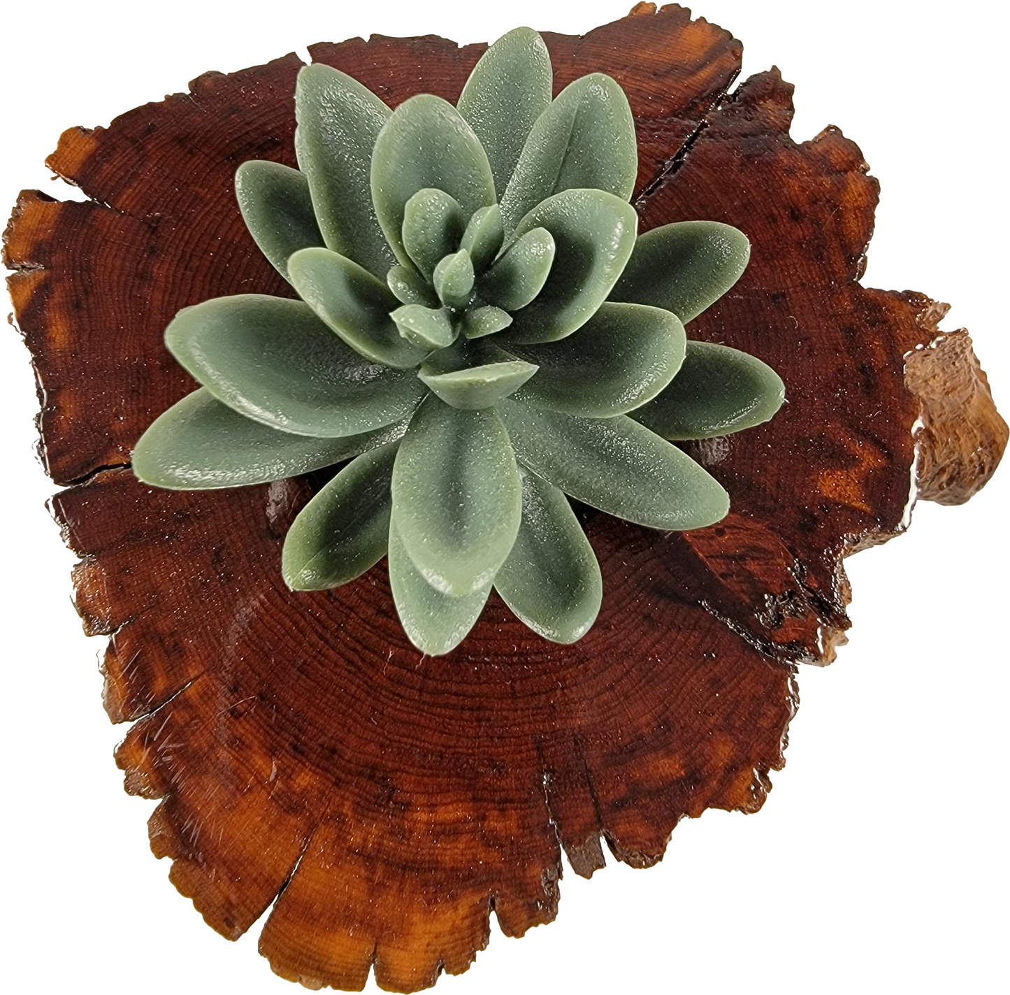Handmade Cedar Living Wood Planter