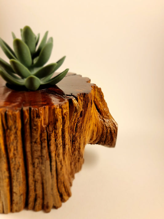 Handmade Cedar Living Wood Planter