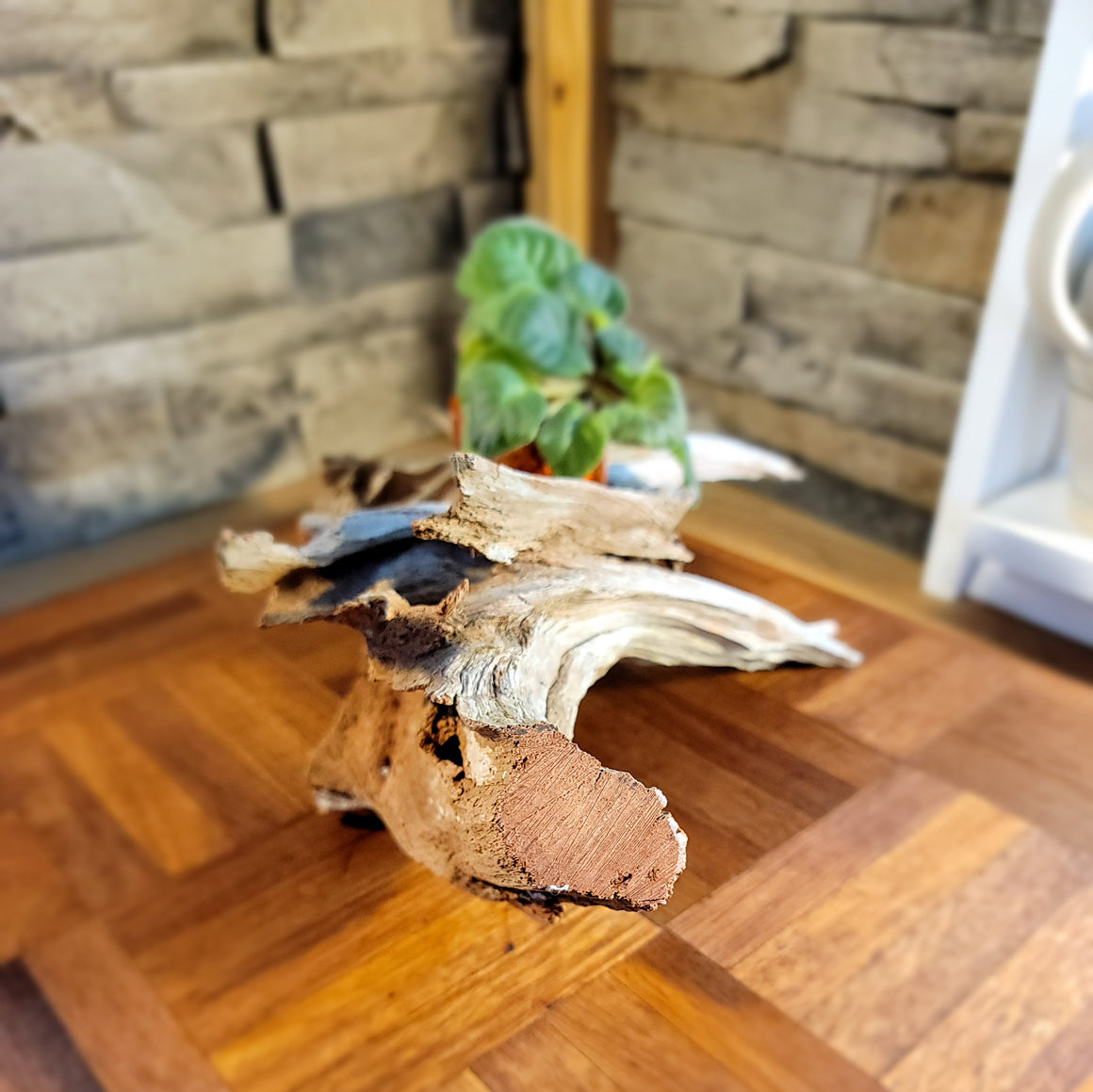 Handmade Long Driftwood Style Living Planter
