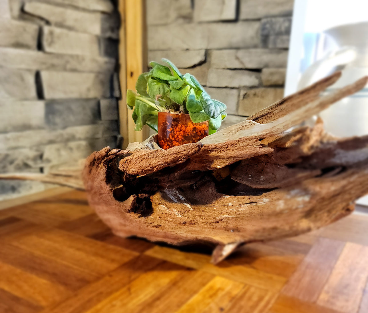 Handmade Long Driftwood Style Living Planter