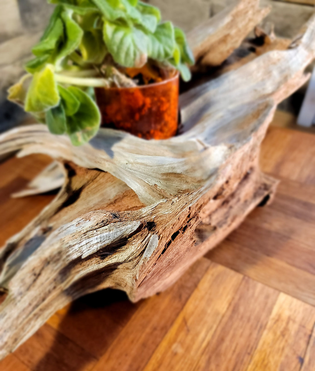 Handmade Long Driftwood Style Living Planter