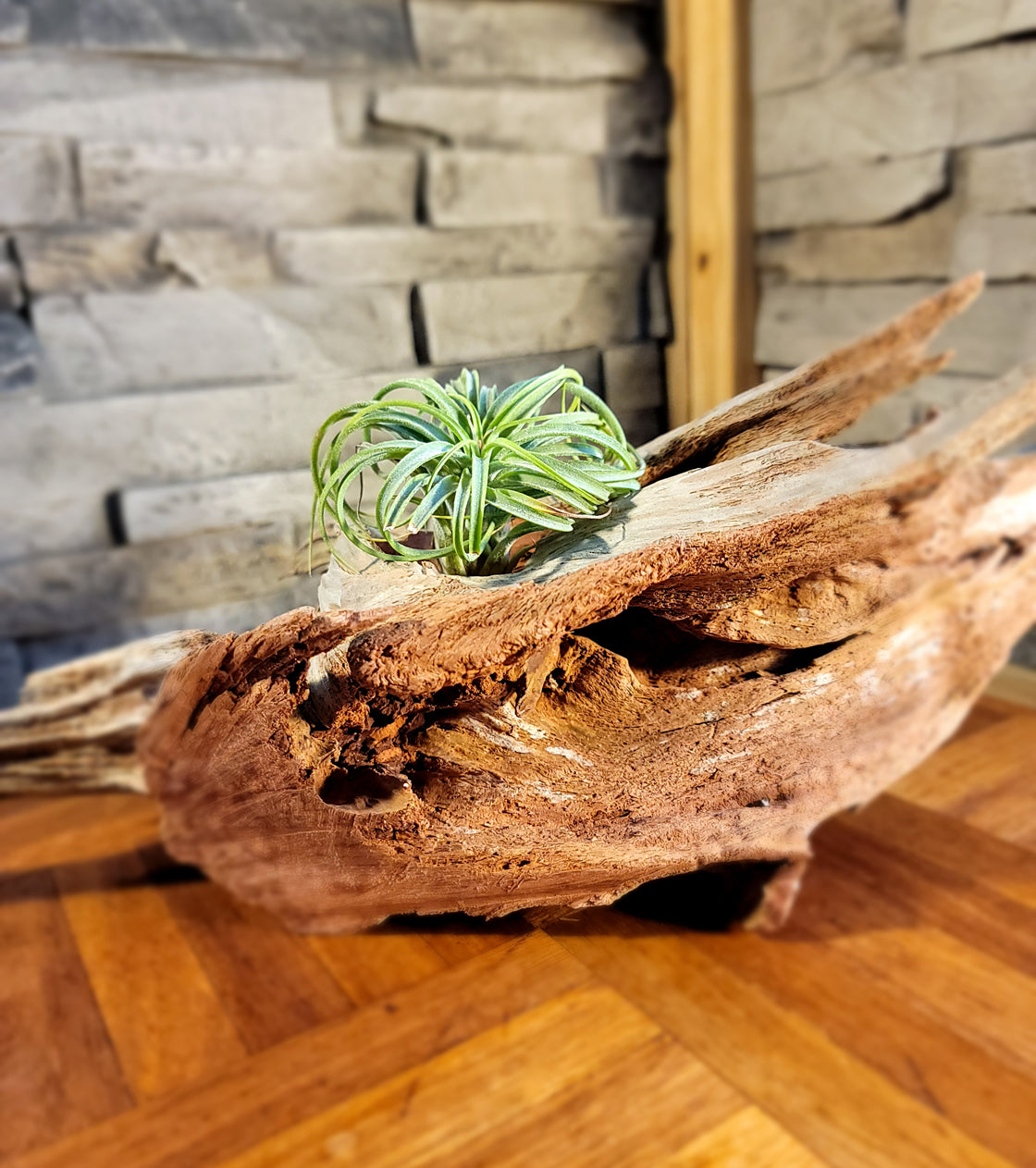 Handmade Long Driftwood Style Living Planter