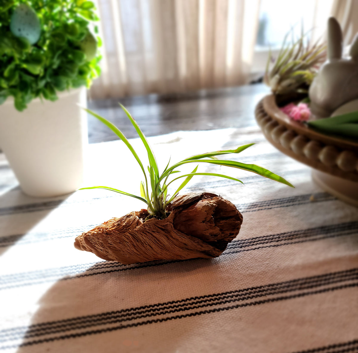 Miniature Handmade Driftwood Style Living Planter