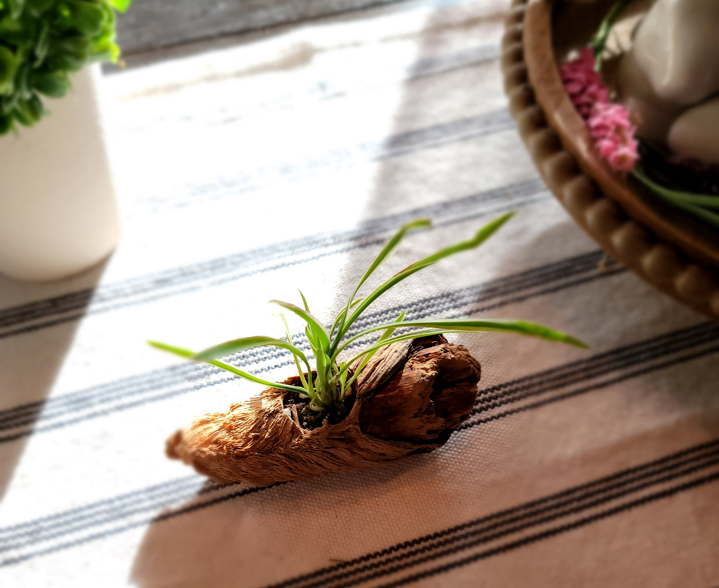 Miniature Handmade Driftwood Style Living Planter