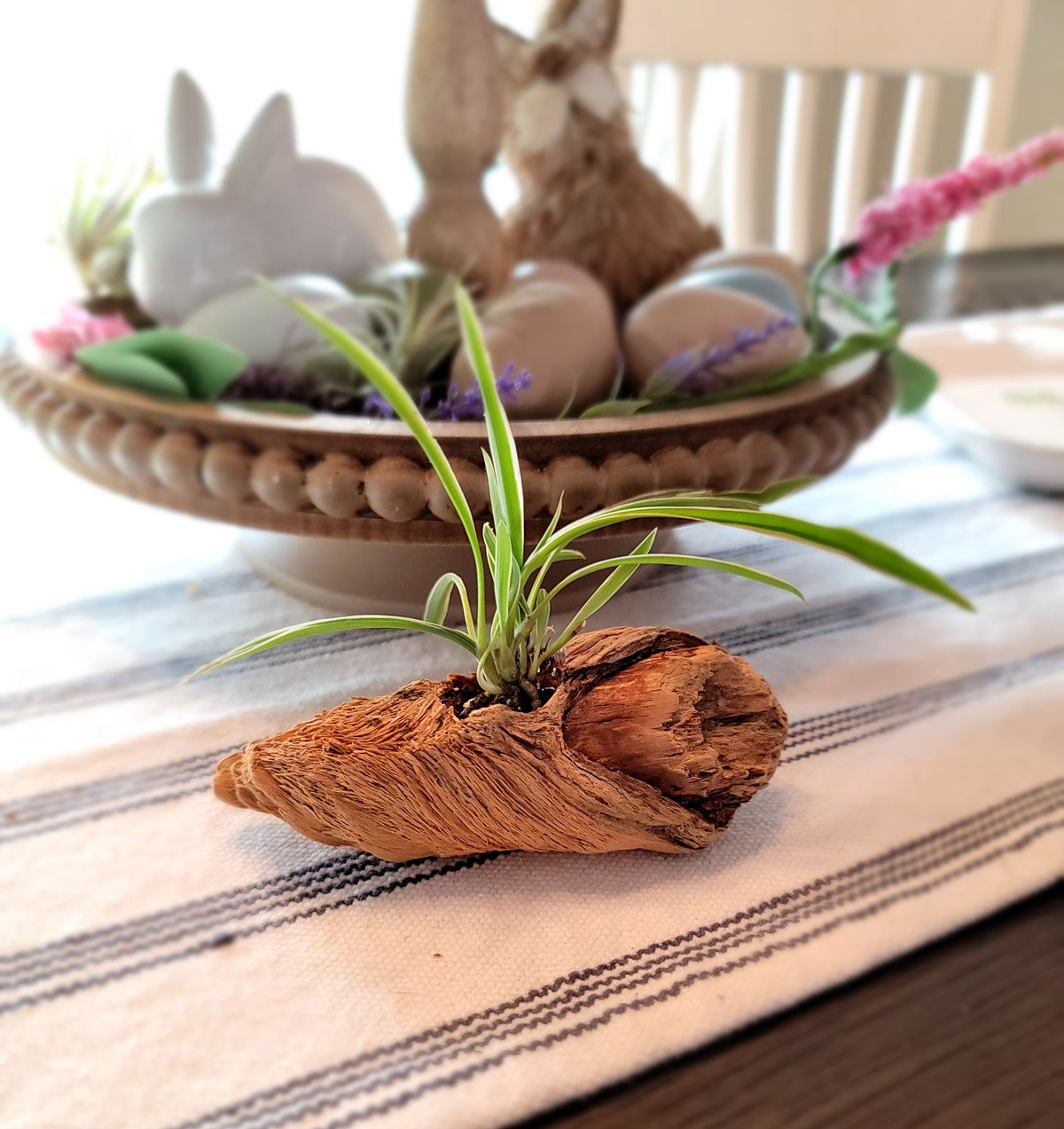 Miniature Handmade Driftwood Style Living Planter