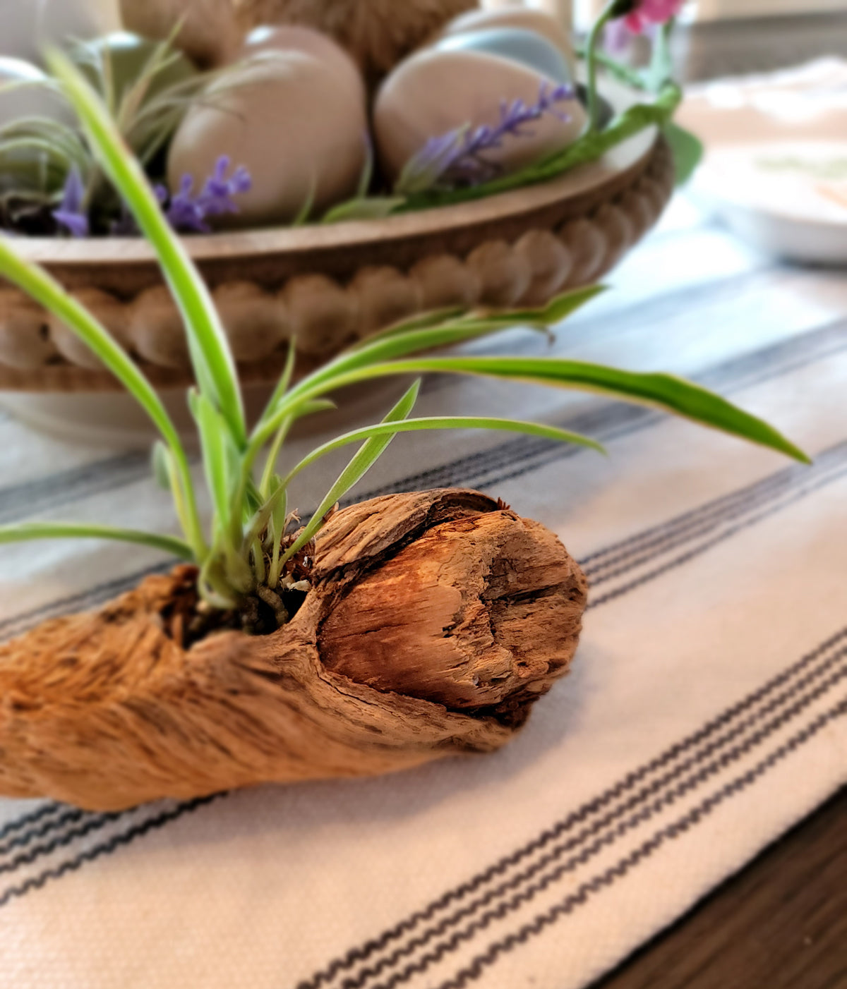 Miniature Handmade Driftwood Style Living Planter