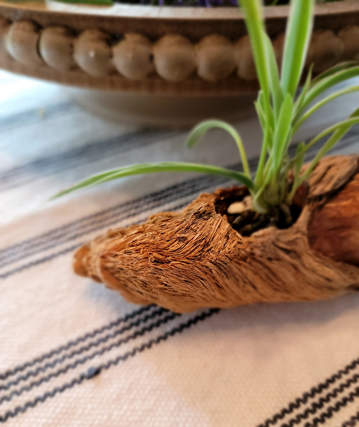 Miniature Handmade Driftwood Style Living Planter
