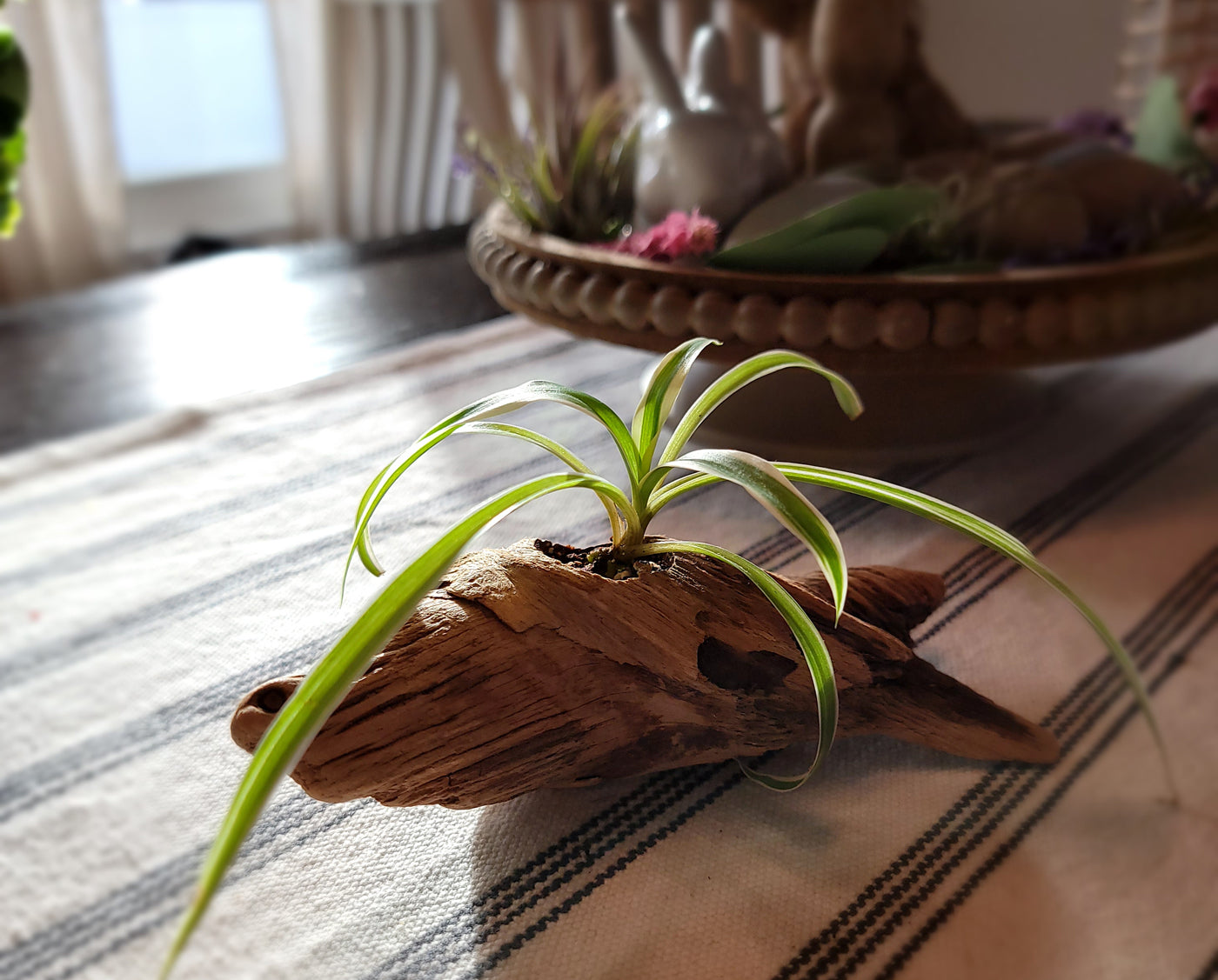 Handmade Miniature Driftwood Style Living Planter